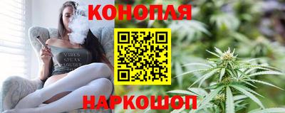 индика Шелехов